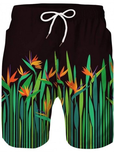 Board Shorts Men's Swim Trunks Beach Quick Dry Shorts Holiday 3D Printed Board Shorts - Bde-006 - CR194X6EA0H $40.07
