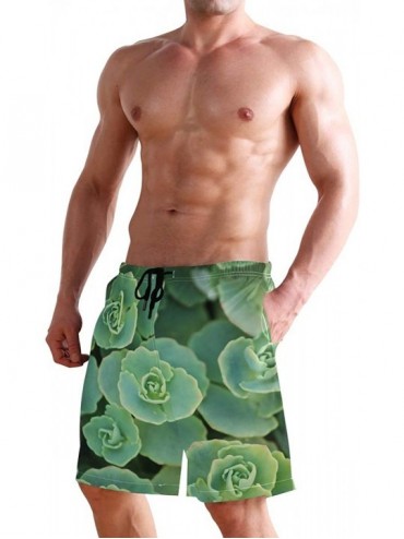 Board Shorts Men's Swim Trunks Honeycomb Periodic Table Rainbow Quick Dry Beach Board Shorts with Pockets - Green Colorful Su...
