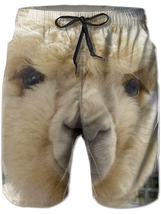 Board Shorts Men's Board Shorts- Quick Dry Swimwear Beach Holiday Party Bathing Suits - Funny Alpaca - CP190X7SDUD $30.38