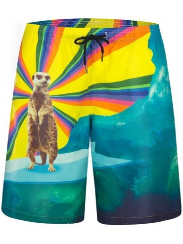 Board Shorts Mens Swim Trunks Quick Dry Bathing Suits Summer Holiday Beach Board Shorts - Sea Animals - CD199CUM0XS $33.81