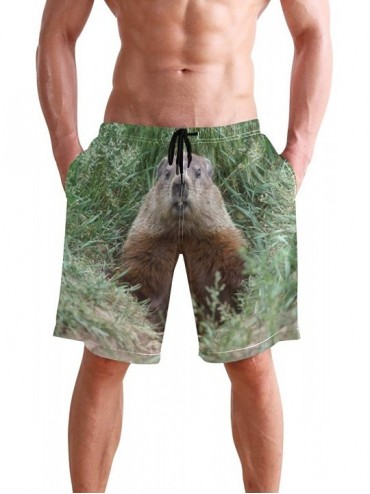Board Shorts Men's Quick Dry Swim Trunks with Pockets Beach Board Shorts Bathing Suits - Groundhog - CH195W3IG07 $31.80