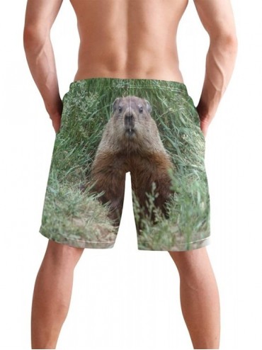 Board Shorts Men's Quick Dry Swim Trunks with Pockets Beach Board Shorts Bathing Suits - Groundhog - CH195W3IG07 $31.80