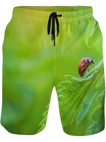Board Shorts Mens Swim Trunks Jungle Leaves Animal Ladybug Quick Dry Beach Shorts Summer Surf Board Shorts - CC18UDTMOMT $45.14