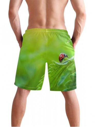 Board Shorts Mens Swim Trunks Jungle Leaves Animal Ladybug Quick Dry Beach Shorts Summer Surf Board Shorts - CC18UDTMOMT $22.27