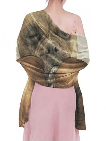 Cover-Ups Women Girl Beach Bikini Cover Up Chiffon Sarong Fashion Scarf Shawl Wrap - Kitty Mugshot - C1190HK0K3G $20.92